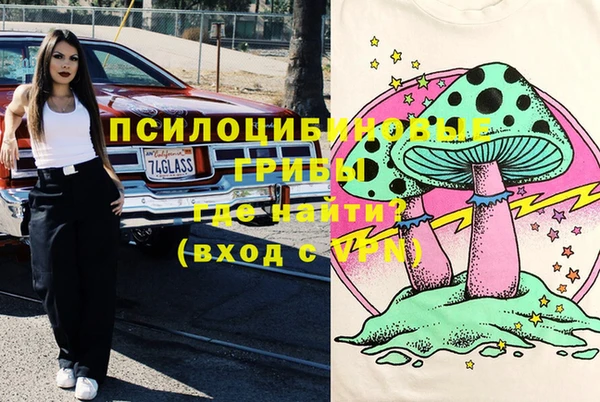 mdma Бородино