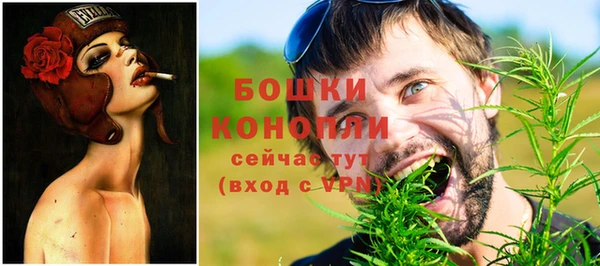 ГАЛЛЮЦИНОГЕННЫЕ ГРИБЫ Белокуриха