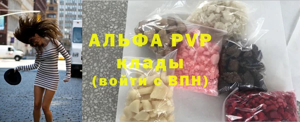 ГАЛЛЮЦИНОГЕННЫЕ ГРИБЫ Белокуриха