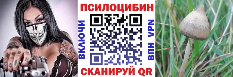 продажа наркотиков  Белебей  Псилоцибиновые грибы MAGIC MUSHROOMS 